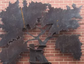 Árvore, símbolo da Ortopedia