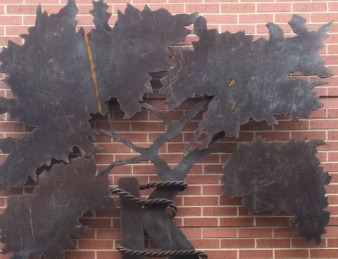 Árvore, símbolo da Ortopedia